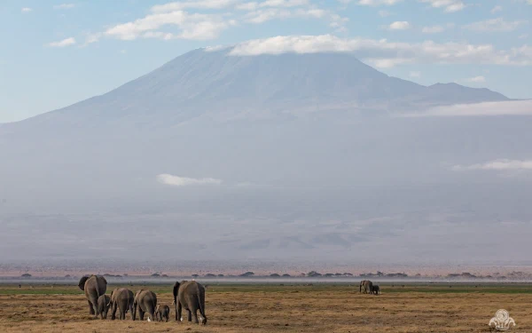 Amboseli