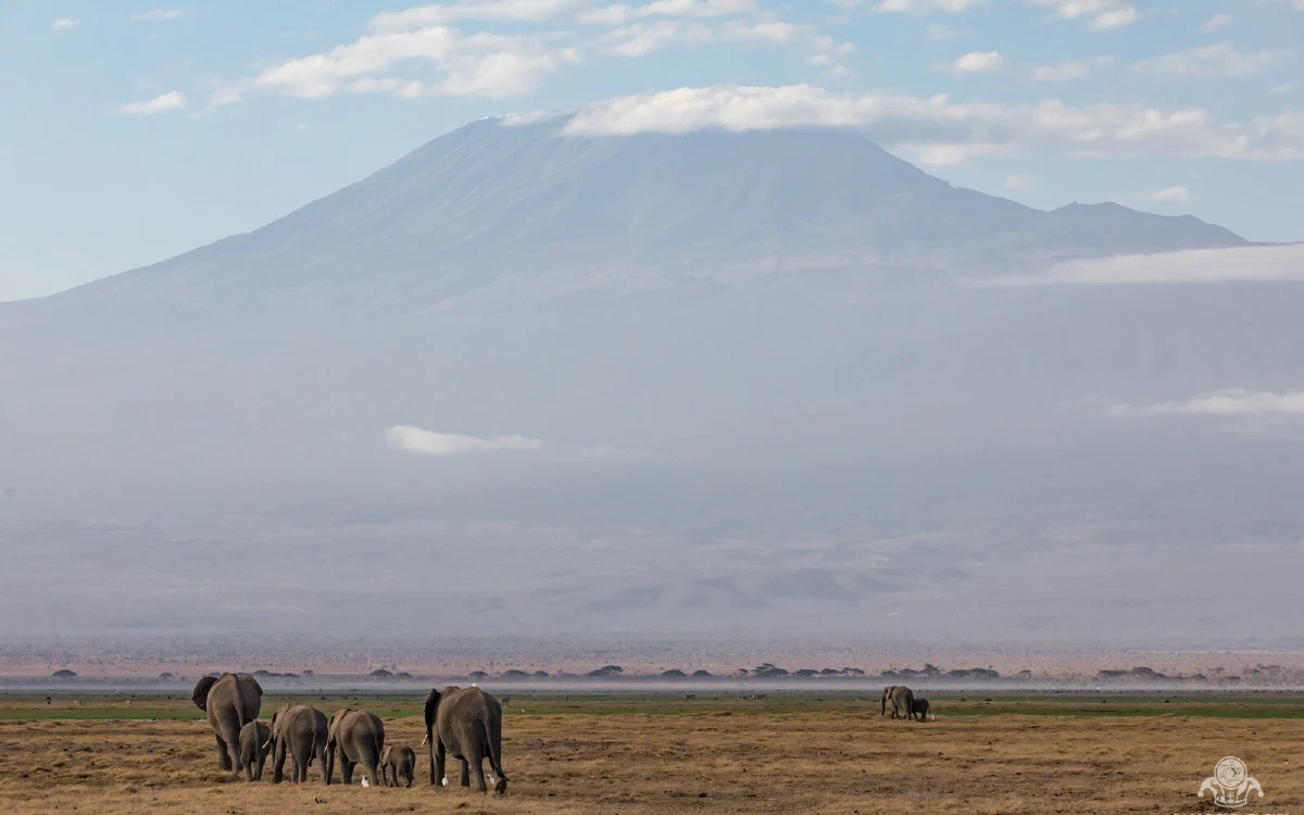 Amboseli
