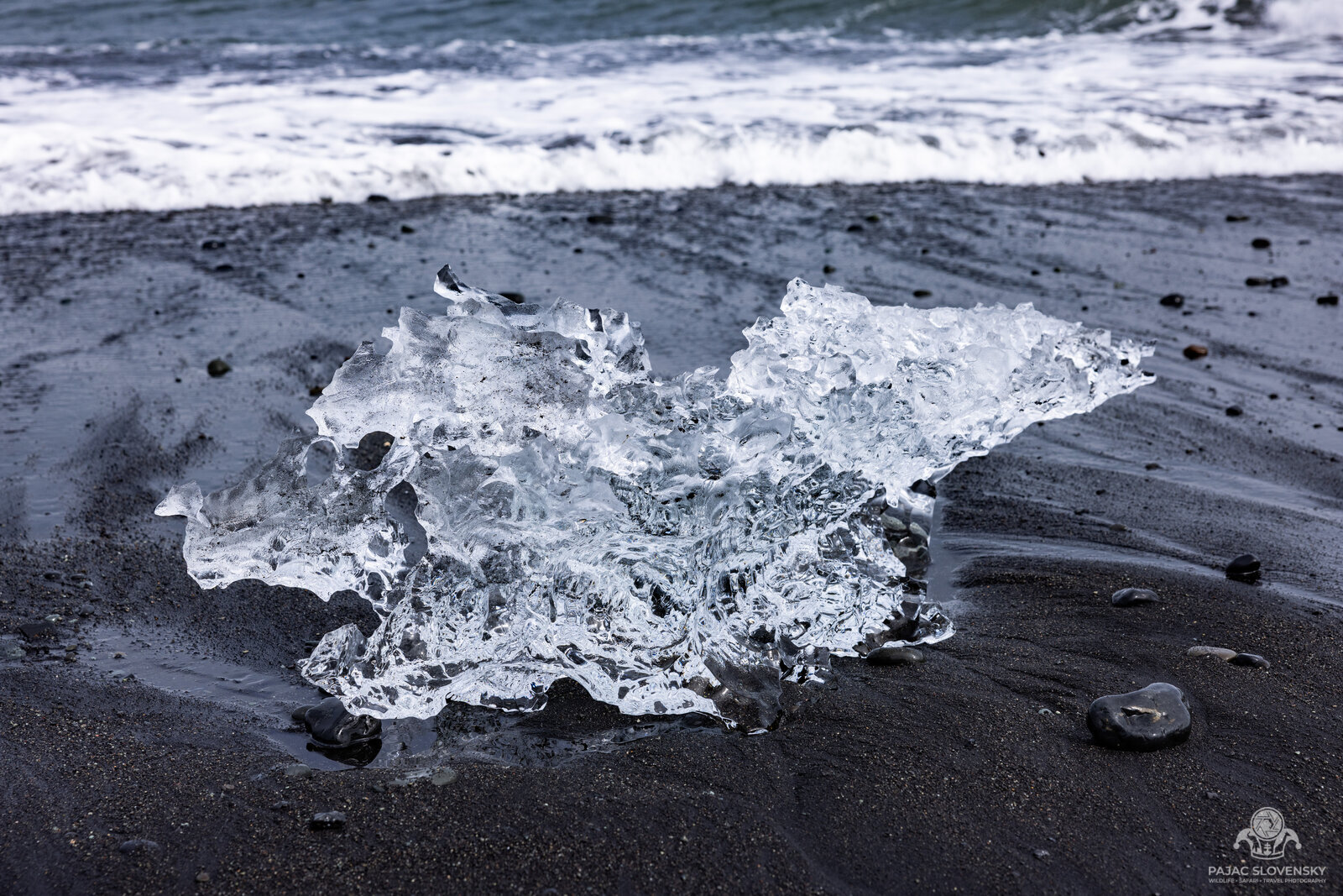 Translucent ice shard stranded on wet black sand as surf retreats