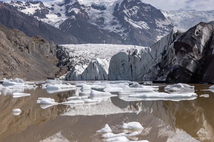 Glacier front with freshly calved ice floating in grey meltwater