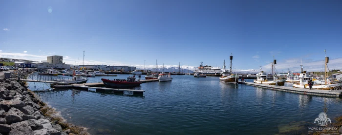 Traditional oak whale-watching boats moored in sunny Husavik harbor