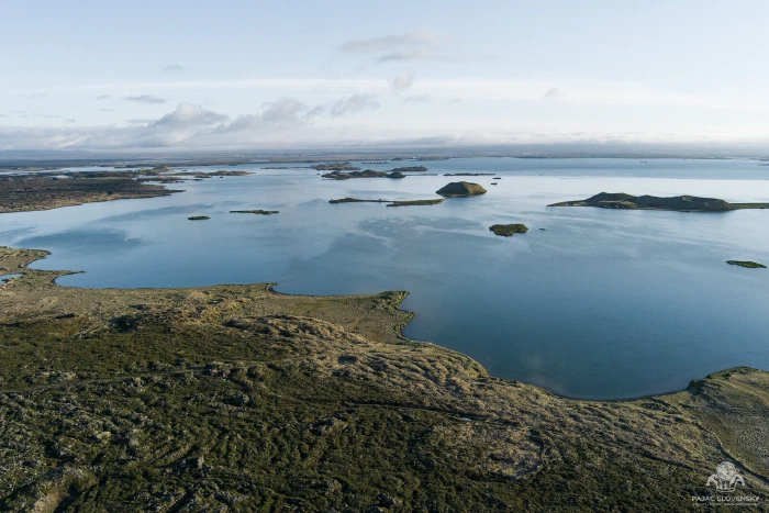 Green pseudocrater islets scattered across the shallows of Lake Mývatn
