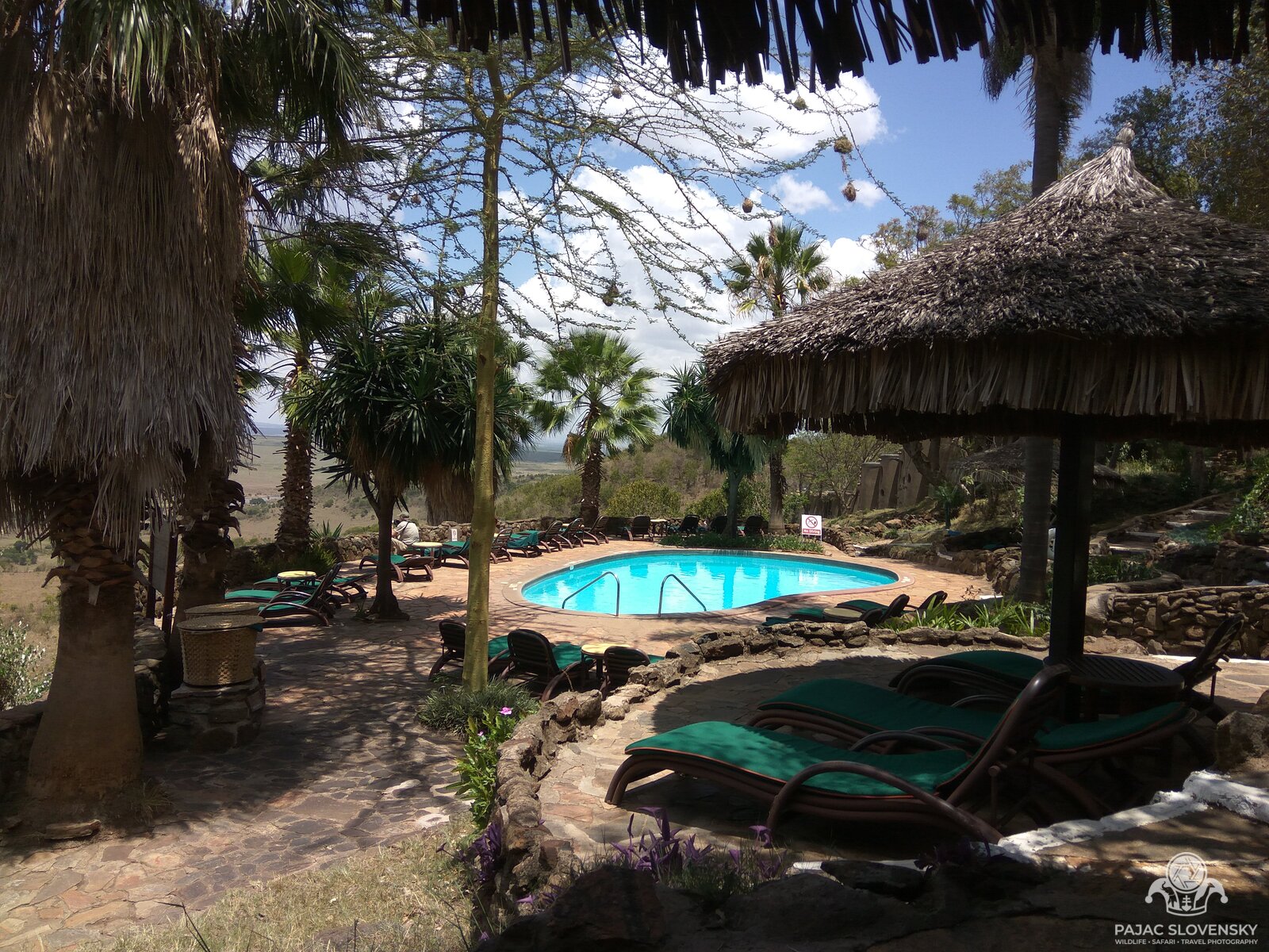 The lodge pool under thatch umbrellas, with the Mara plains stretching beyond
