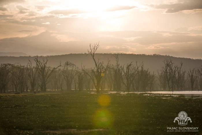 Sun low over Lake Nakuru, its light mirrored on the still water