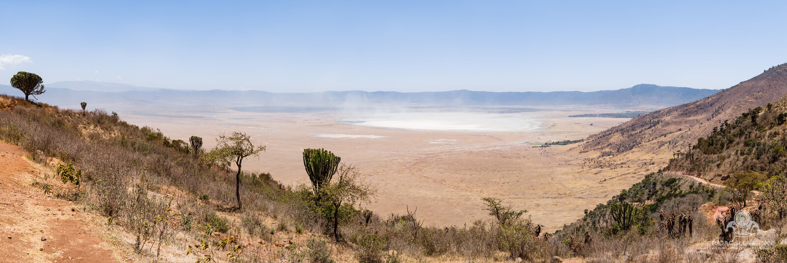 Panorama of the Ngorongoro Crater from the acacia-lined rim