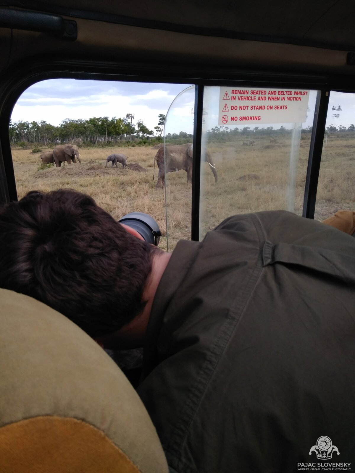 Photographing an elephant family through the vehicle window with a long lens