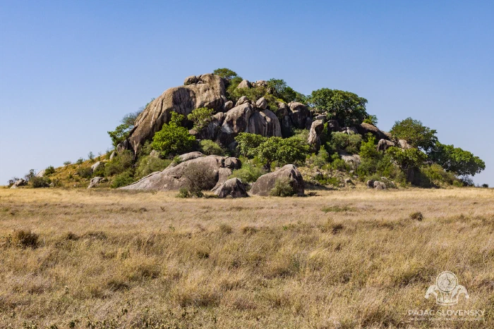 Granite kopje rising from the Serengeti grassland