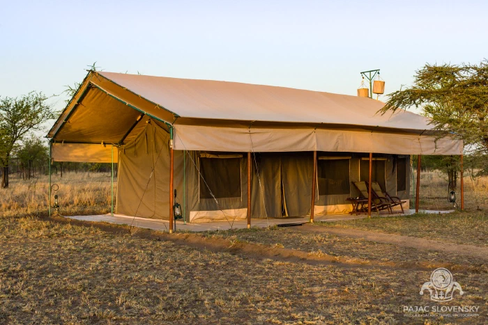 A safari camp bungalow under the wide Serengeti sky at dawn