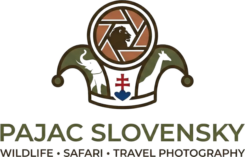 Pajac Slovensky Logo