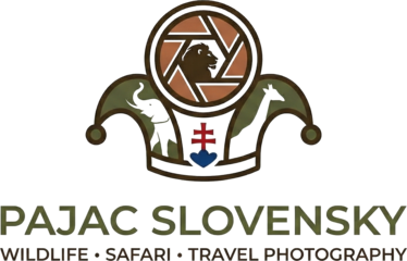 Pajac Slovensky