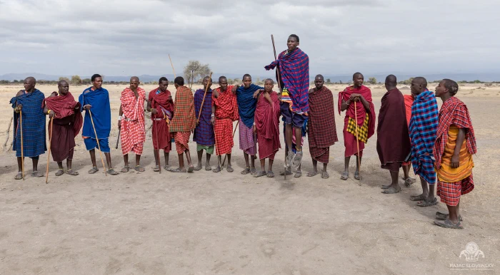 Maasai jumper airborne above companions during the adumu dance
