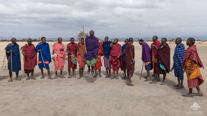Maasai man leaping in adumu jumping dance before a line of men