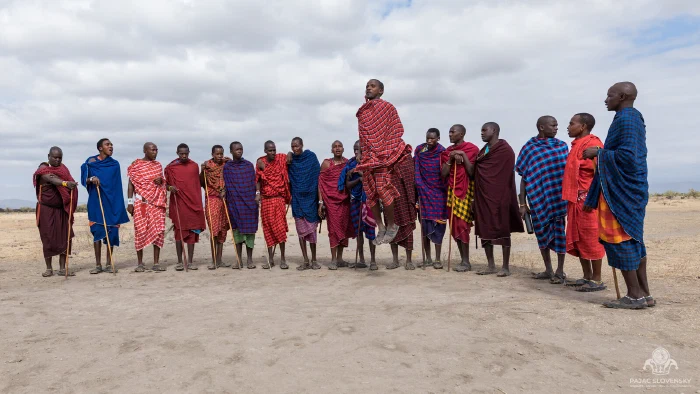 Maasai man at peak of adumu jump, centered above the dance line