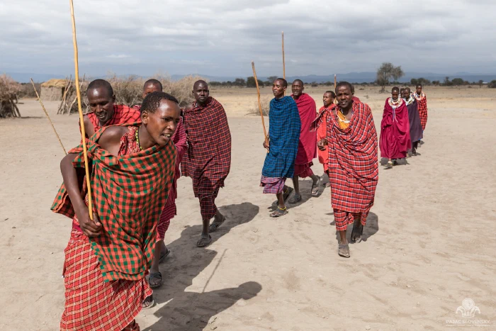 Maasai men leaning forward in rhythmic dance line on dusty ground
