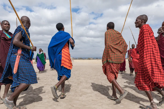 Maasai dancers mid-stride with long staffs angled overhead