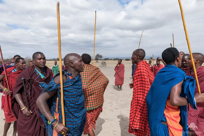 Maasai men in red and blue shukas gathered holding tall staffs