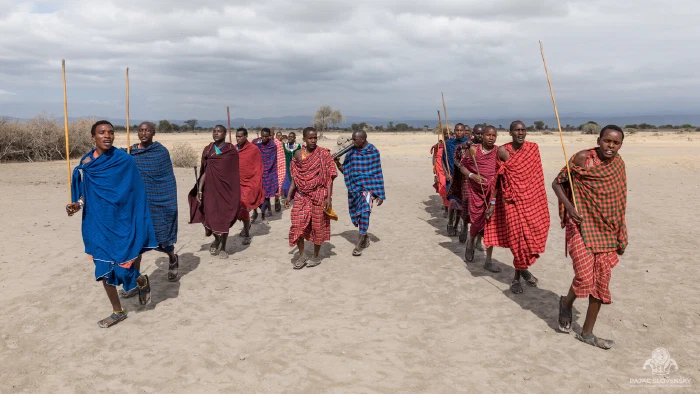 Maasai men striding across dusty ground carrying slender staffs