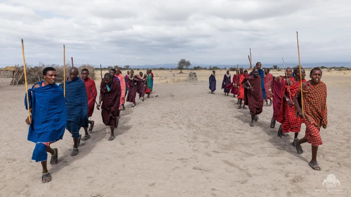 Two lines of Maasai men in shuka robes advancing with staffs