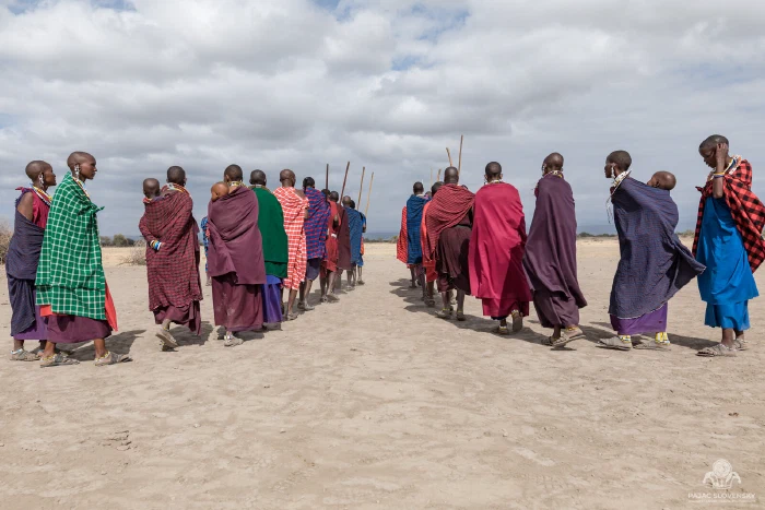 Maasai women in colorful shuka robes walking in two lines