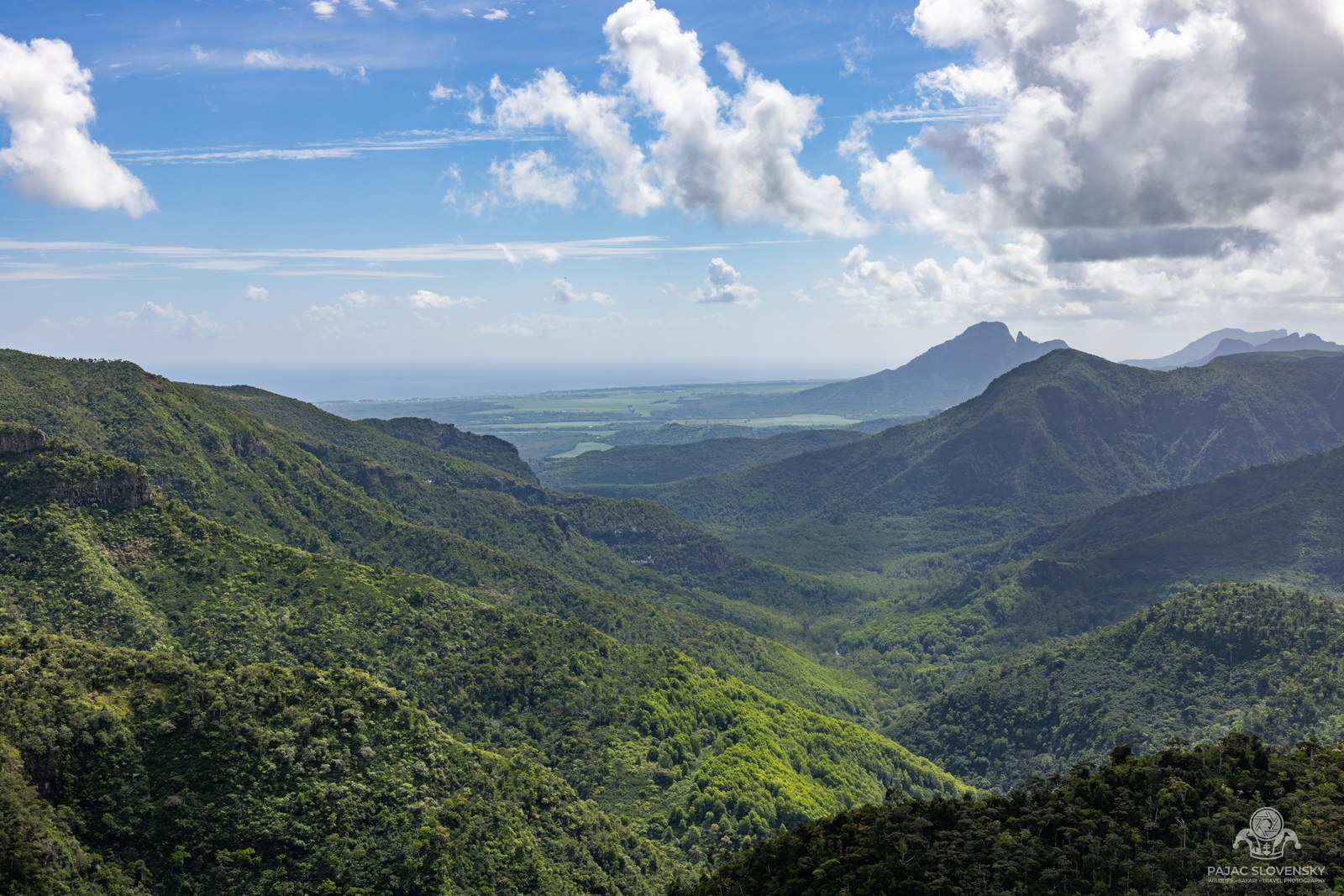 Forested valleys of Black River Gorges National Park from the viewpoint