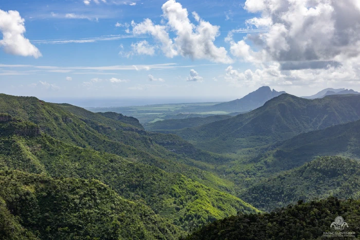Forested valleys of Black River Gorges National Park from the viewpoint