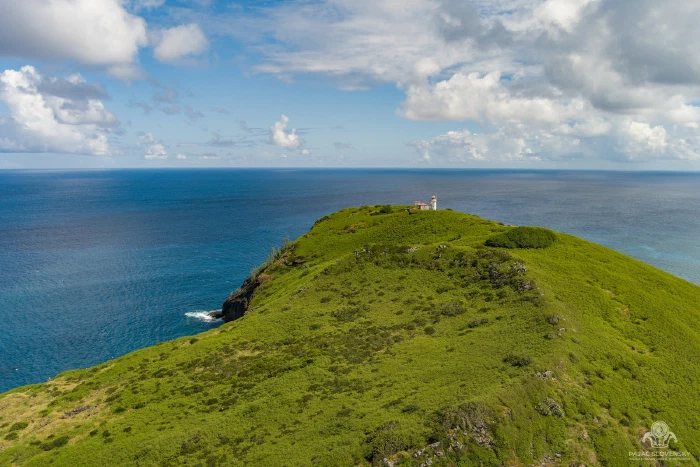 Flat Island's lighthouse standing on its green hill above the sea