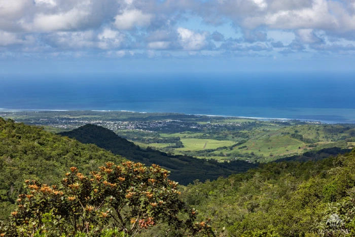 View over green hills to the west coast from the Chamarel road