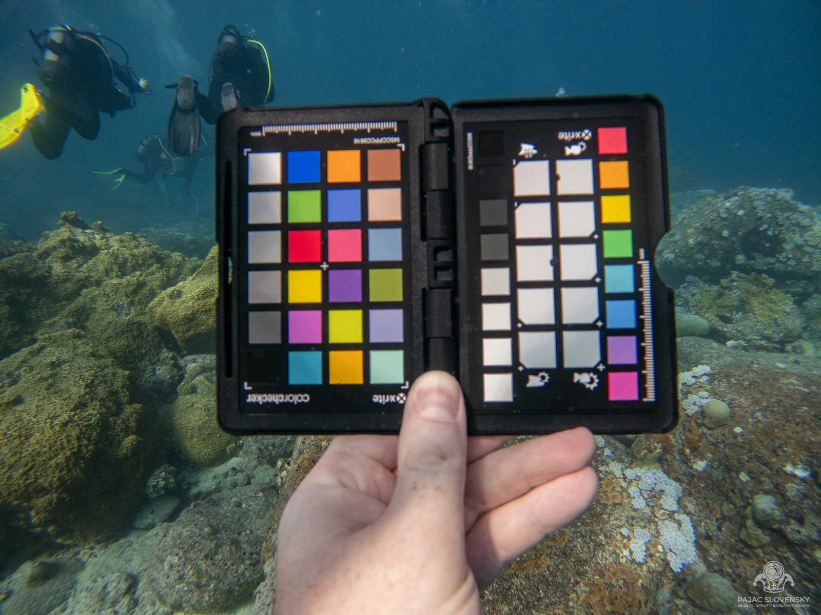 Hand holding a colour checker chart underwater with divers in the background