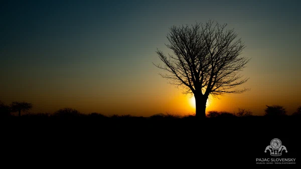 Last Light, Ruaha — fine art print