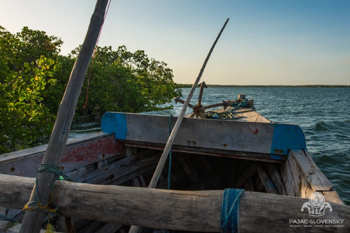 Bow of the boat over deep blue water — the tide is in