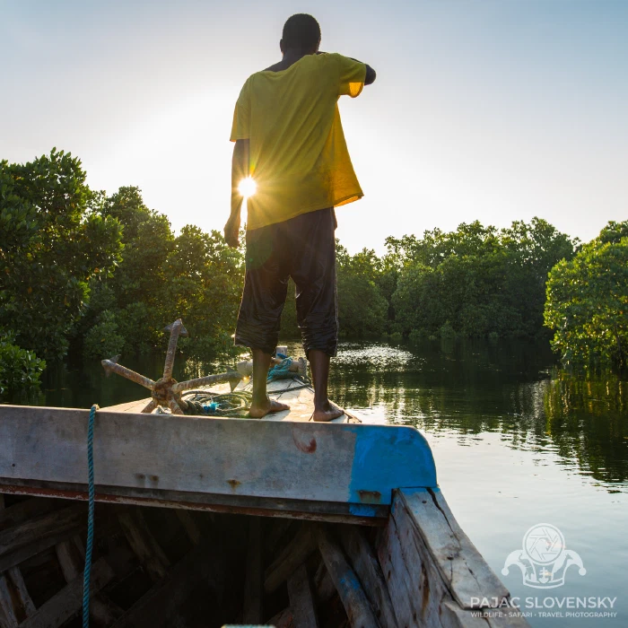 Standing at the bow into the gold light — the tide carried us home