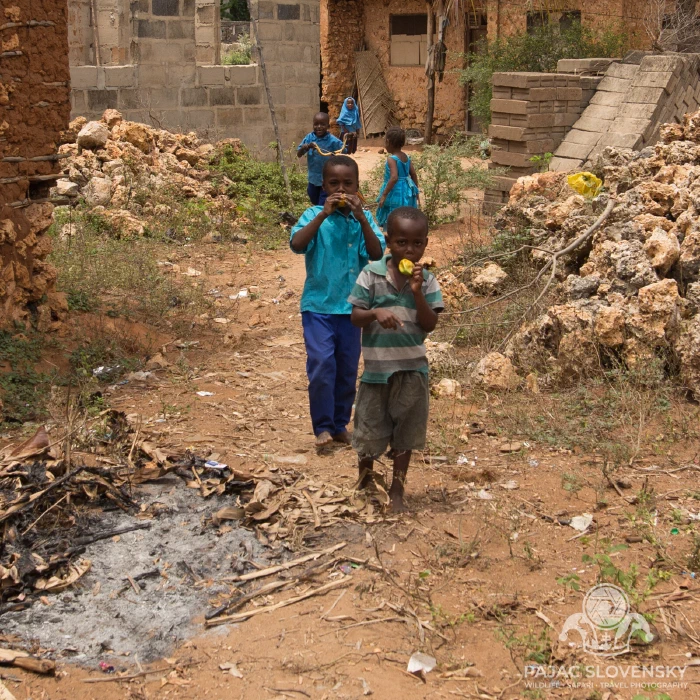 Boys in the charcoal yard