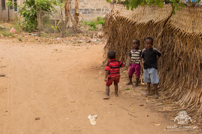 Children beside the woven palm fence