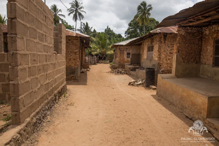 Shade and sand — a lane between the houses
