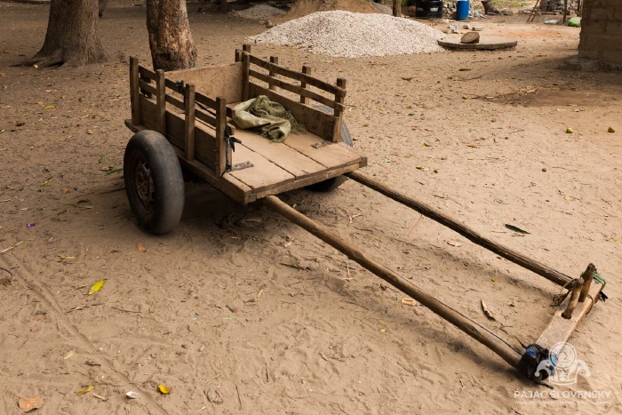 A hand-built wooden ox-cart resting under the trees