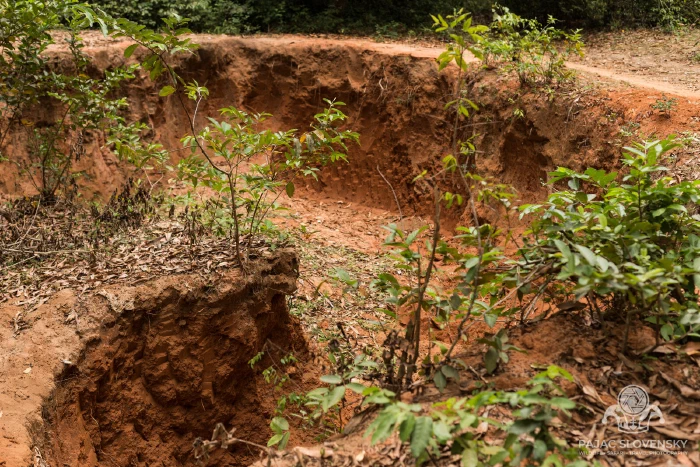 A red clay pit cut into the island's coral soil