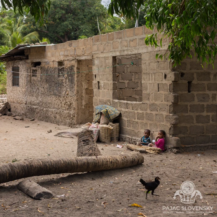 Morning in Unguja Ukuu — children by a coral-stone house