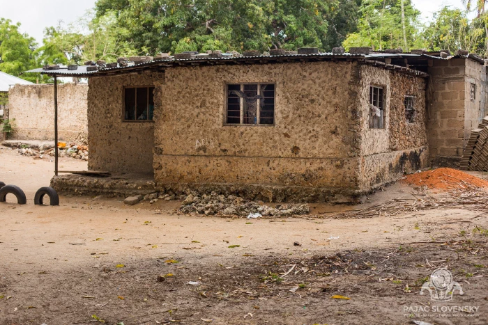 Coral-stone house under a tin roof, Unguja Ukuu