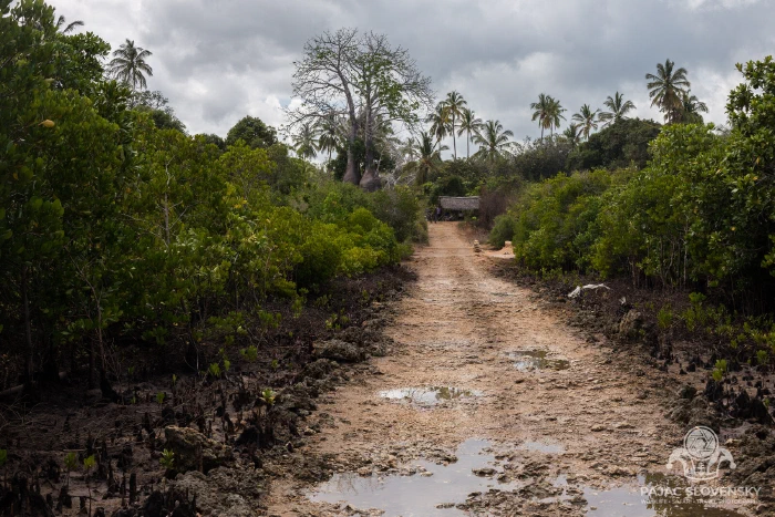 The Road That Drowns Twice a Day: A Cultural Expedition to Uzi Island