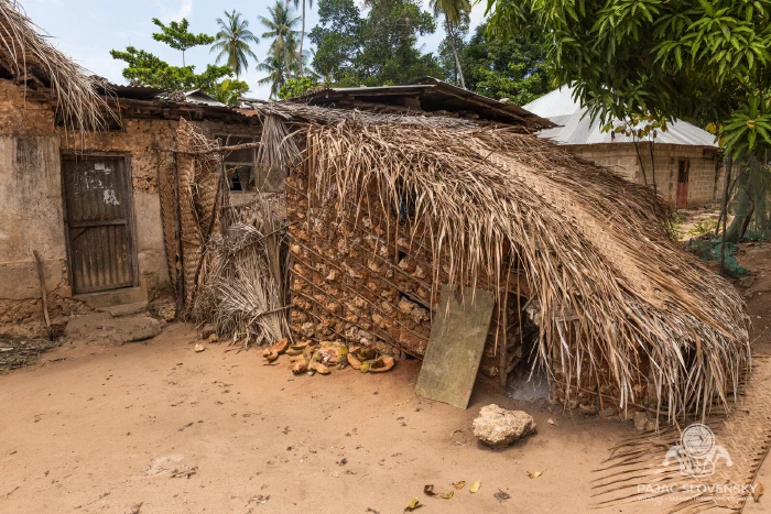 Houses behind a woven palm-frond fence, Uzi village