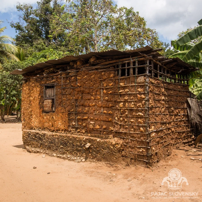 Wattle-and-daub house beneath a woven thatch roof
