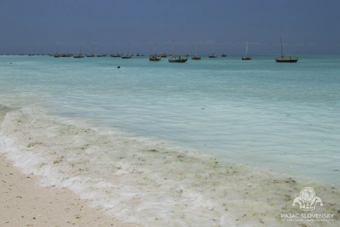 The reef flats stretching out at low tide