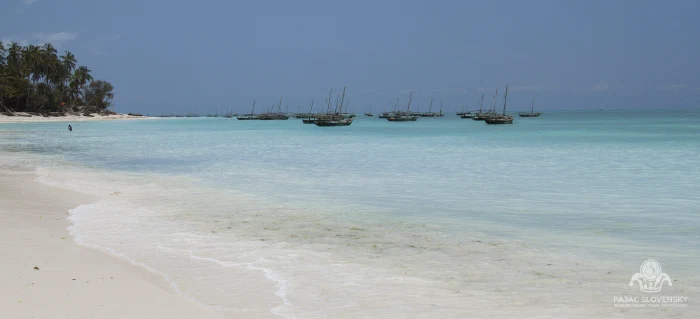 Pale sand, pale sea — the east coast in midday light