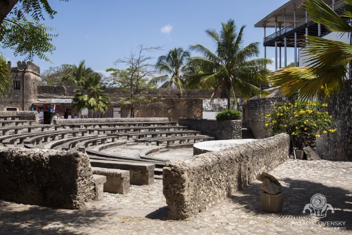 Coral-stone ruins under the palms outside Stone Town