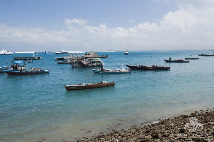 Dhows and fishing boats moored in a turquoise bay