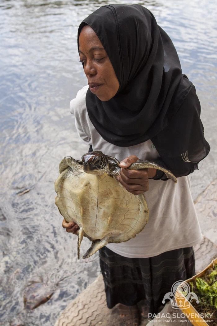 A local guide showing a shell on the shore