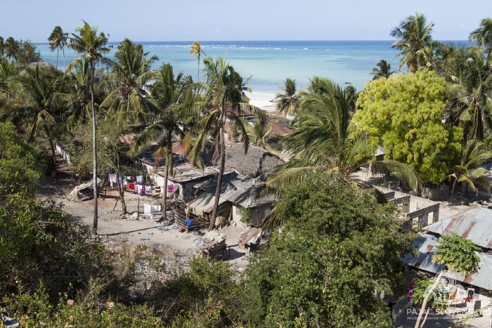 Looking out over Kiwengwa village toward the sea
