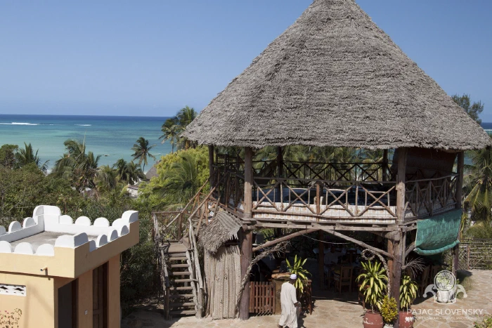 A makuti-thatched beach pavilion by the shore
