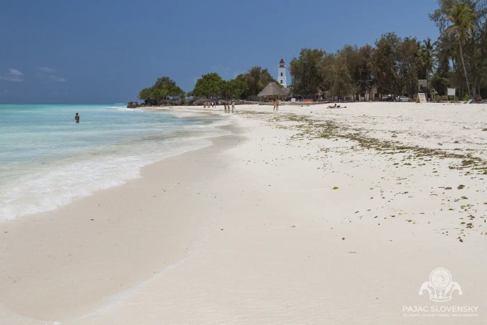 Bare white sand curving toward the water