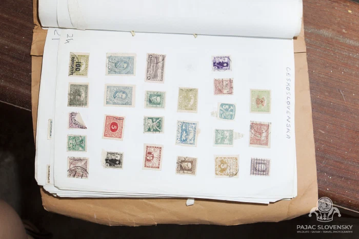 An album of old Zanzibari postage stamps in a curio shop